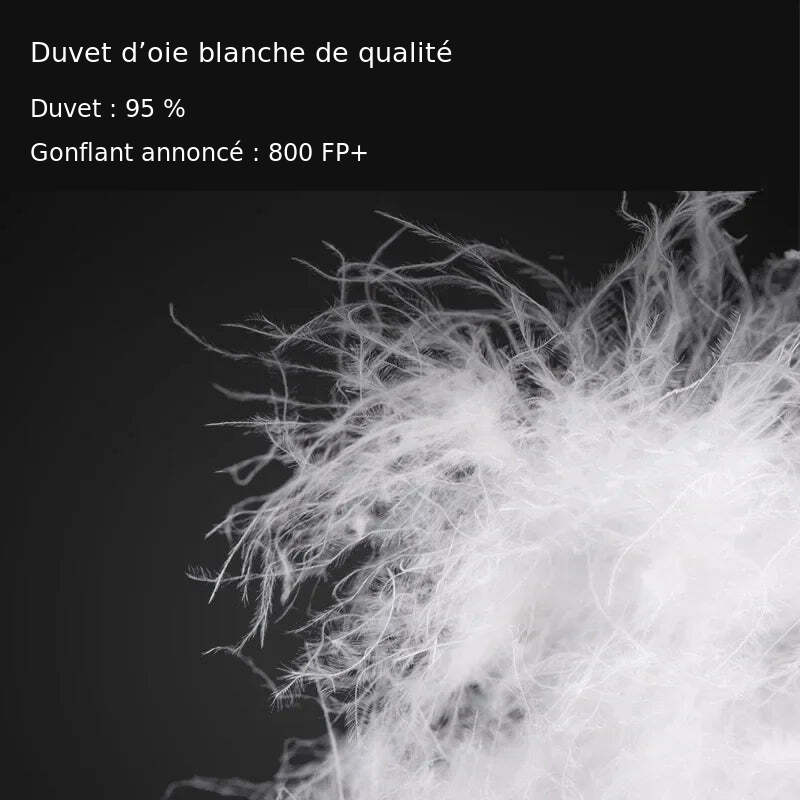 Duvet d’oie blanche, taux annoncé 95 % et gonflant annoncé 800 FP+.