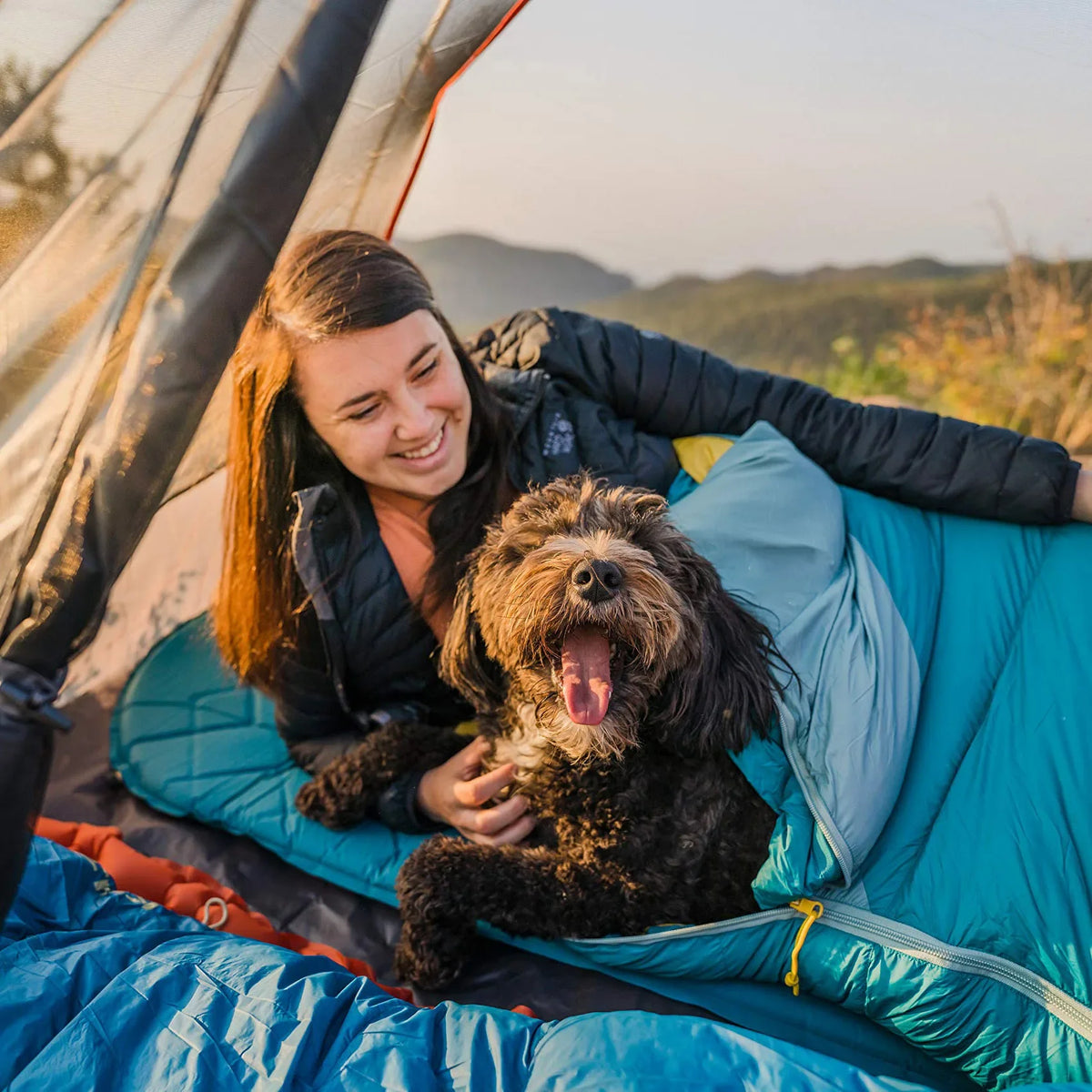 Personne et chien installés dans un sac de couchage en plein air.